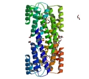 Human Serum Amyloid A Protein (Part hSAA-1mg)